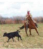 cowboy
